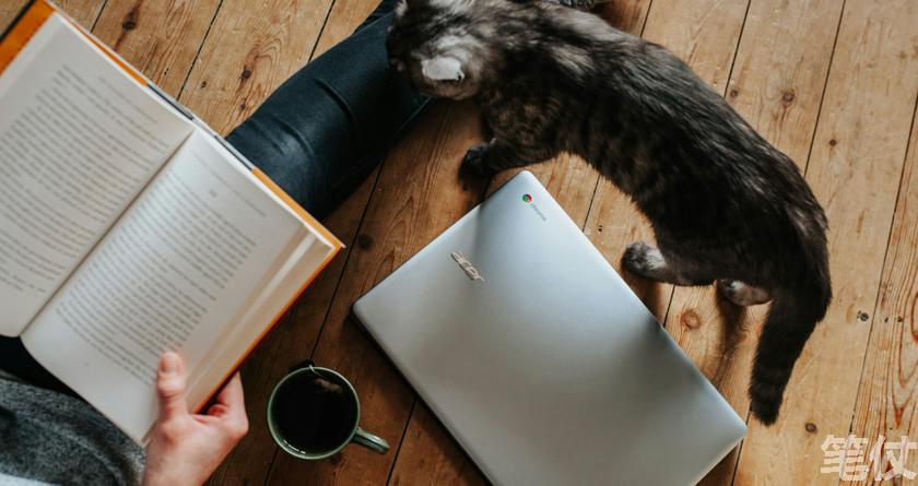 笔仗降AI率,笔仗查AI率,笔仗降AI率,笔仗查AI率,笔仗论文降重,笔仗论文ai率降低